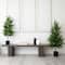 4ft. Unlit Norfolk Pine Artificial Potted Christmas Tree